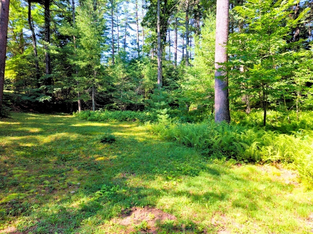 0 Nel Bonney Road Carver, MA 02330 - Photo 5 of 19 Gallery Image 5