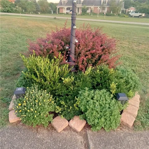 a view of a garden with an outdoor space