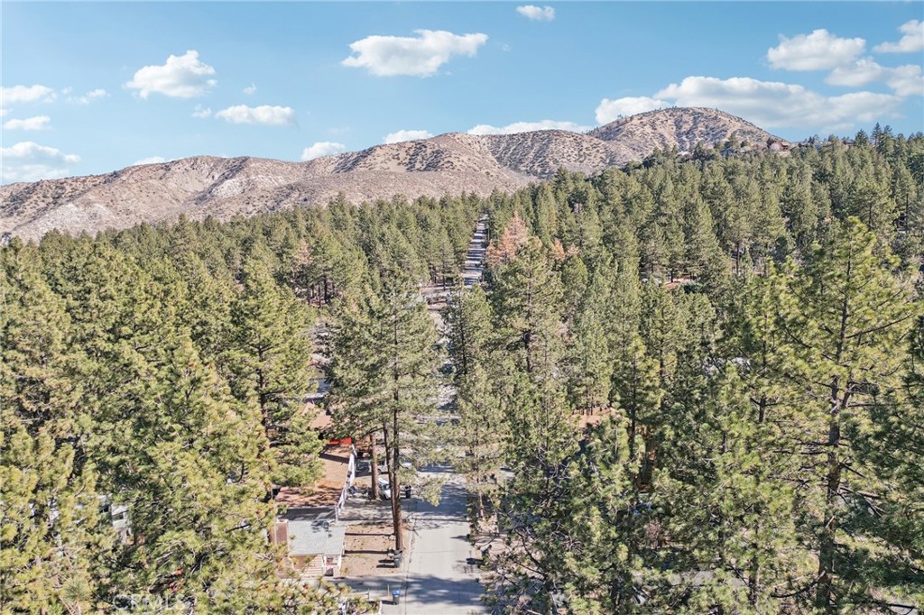 1847 Thrush Road Wrightwood, CA 92397 - Photo 31 of 37