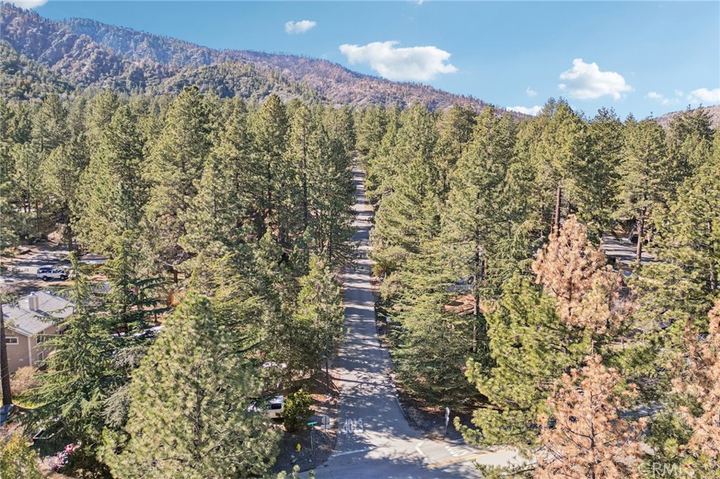 1847 Thrush Road Wrightwood, CA 92397 - Photo 32 of 37