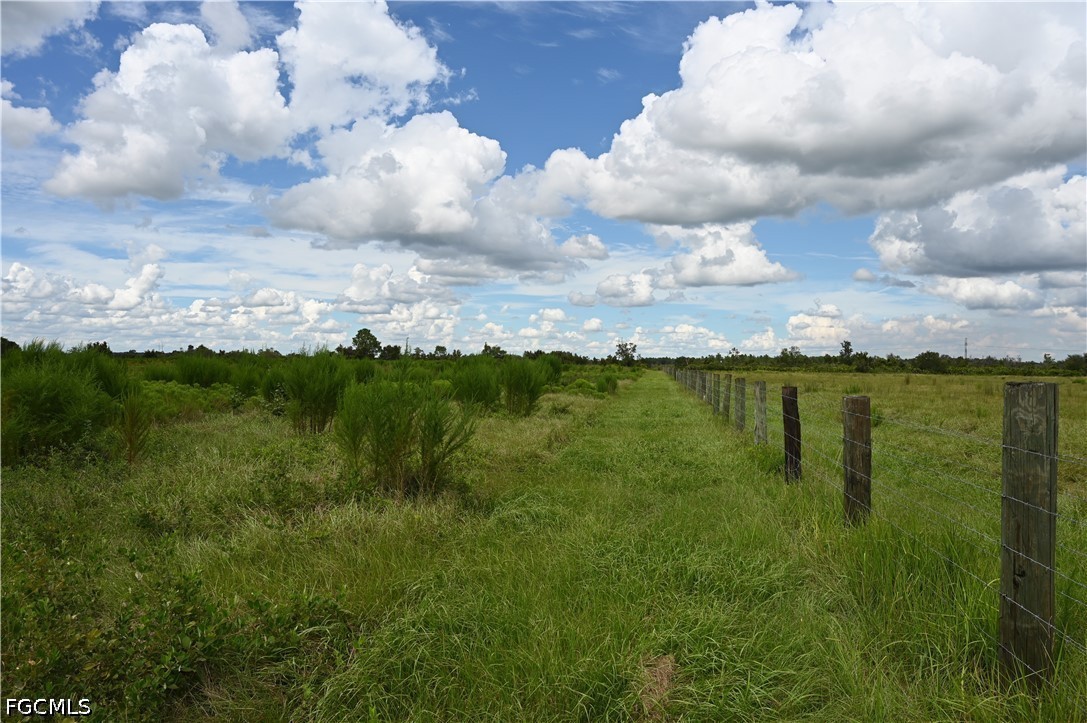 0 County Line Road East Bowling Green, FL 33834 - Photo 4 of 20