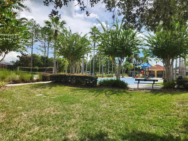 a view of a park with large trees