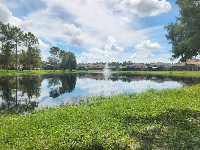 a body of water with a tree in the background