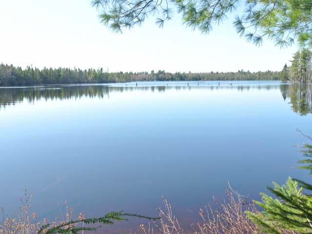 985 North Big Lake Loop Road Three Lakes, WI 54562 - Photo 4 of 11 Gallery Image 4