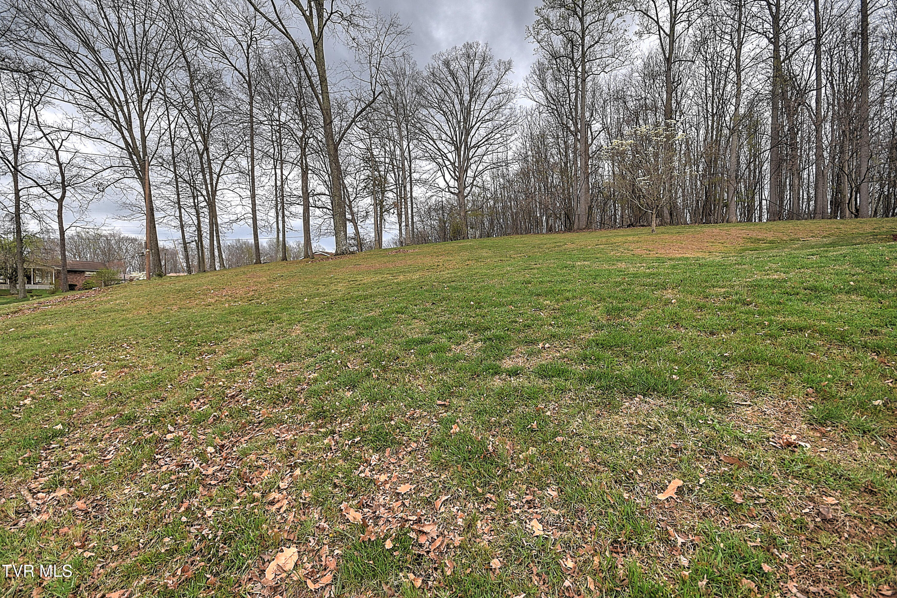 148 Whitehills Road Kingsport, TN 37660 - Photo 53 of 58 148 Whitehills ES-50