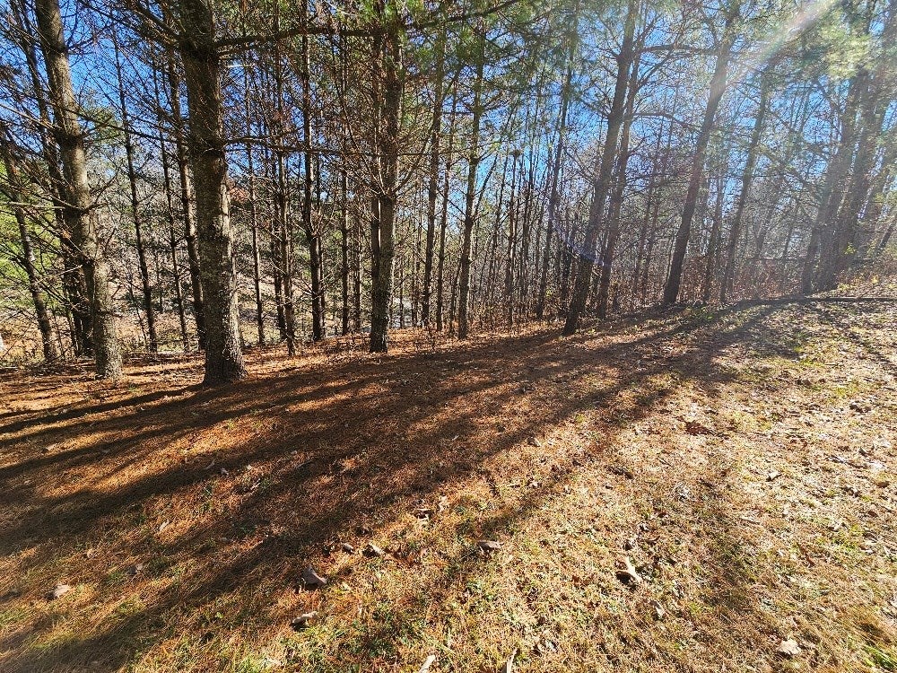 1801 Fulton Road Independence, VA 24348 - Photo 5 of 13 Gallery Image 5