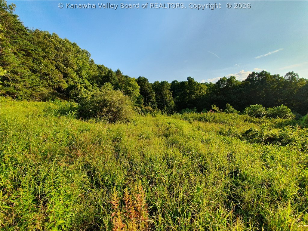 0 Bear Fork Road Gay, WV 25244 - Photo 2 of 23 Gallery Image 2