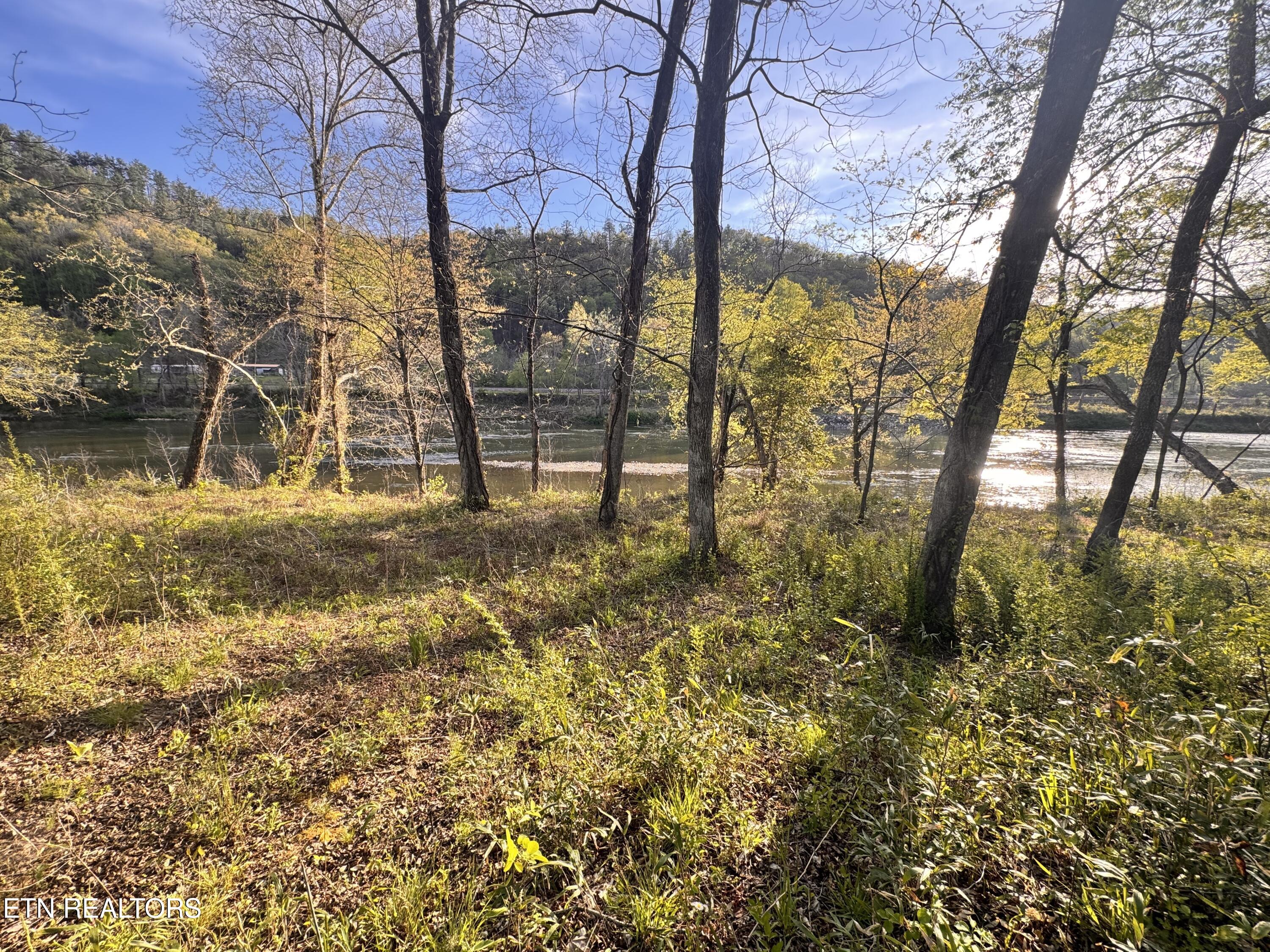 Lot 35 R River Rapids Way Del Rio, TN 37727 - Photo 5 of 20 River Rapids Way river frontage