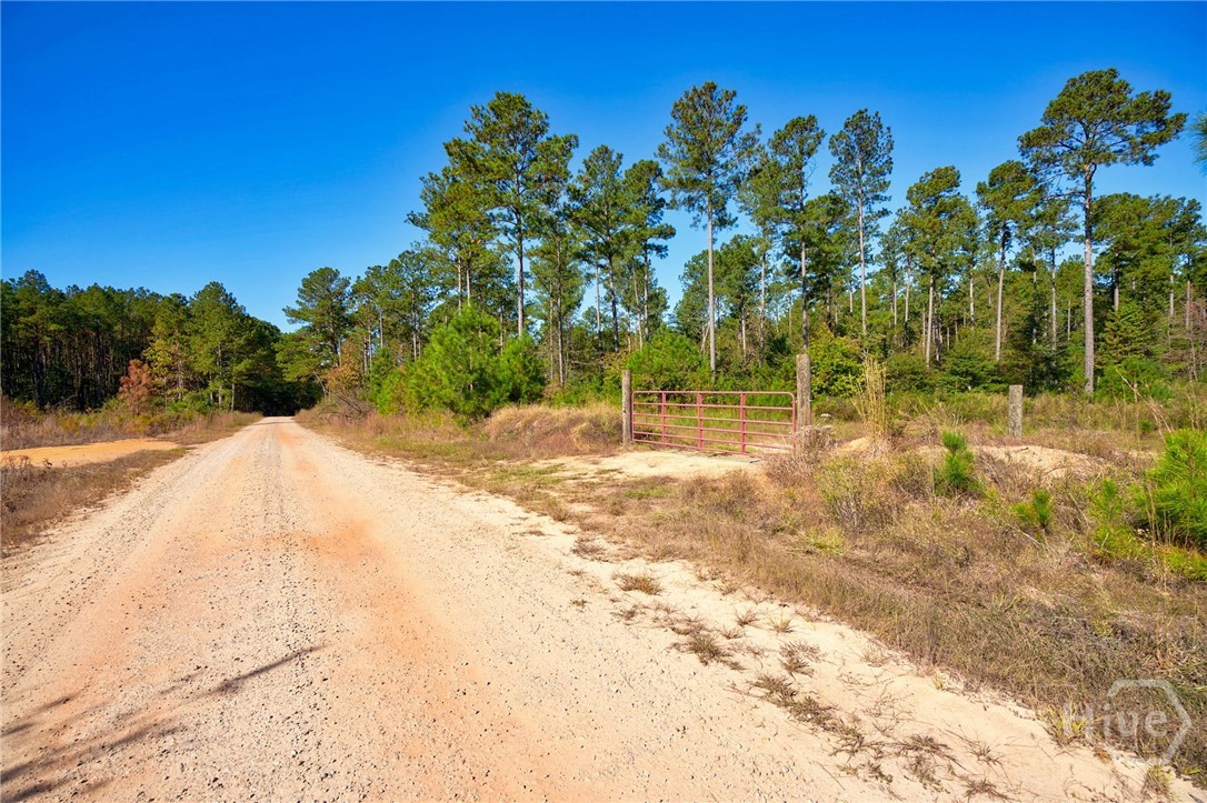 1 Bridges Road Carlton, GA 30627 - Photo 2 of 33