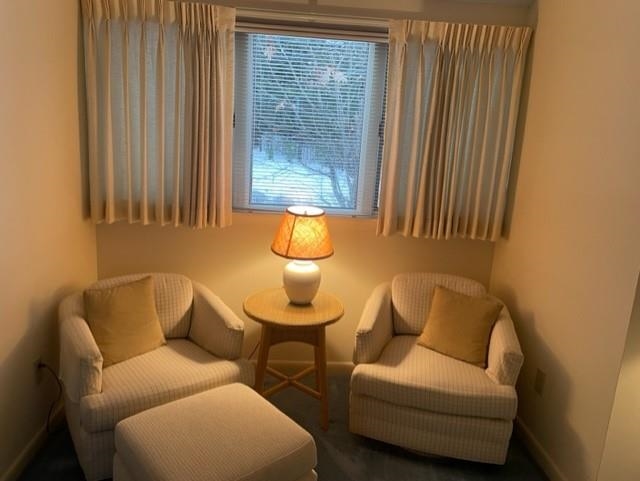 9 Pioneer Point Grantham, NH 03753 - Photo 8 of 17