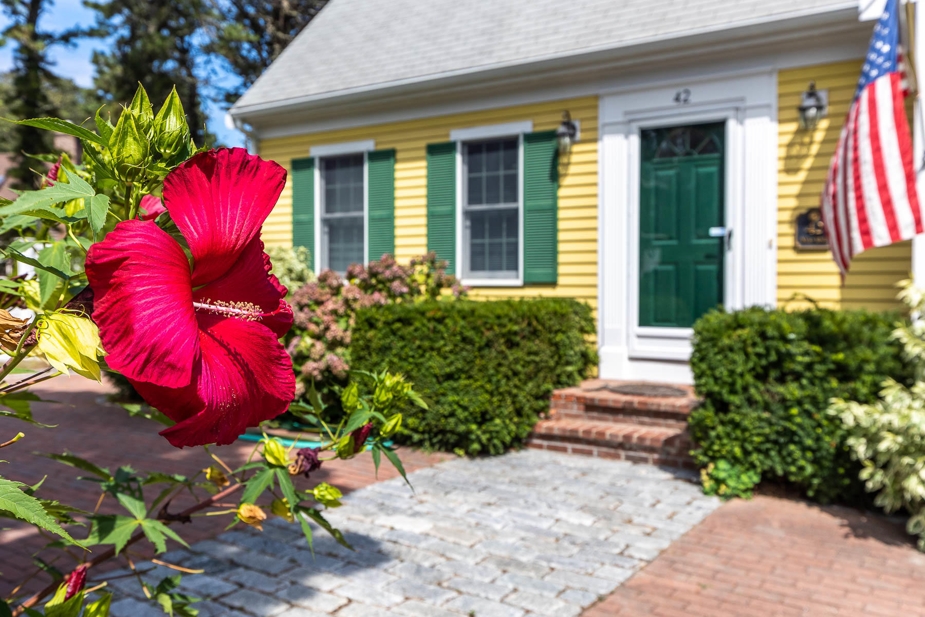 42 Inman Road Dennis Port, MA 02639 - Photo 3 of 51 598A3700