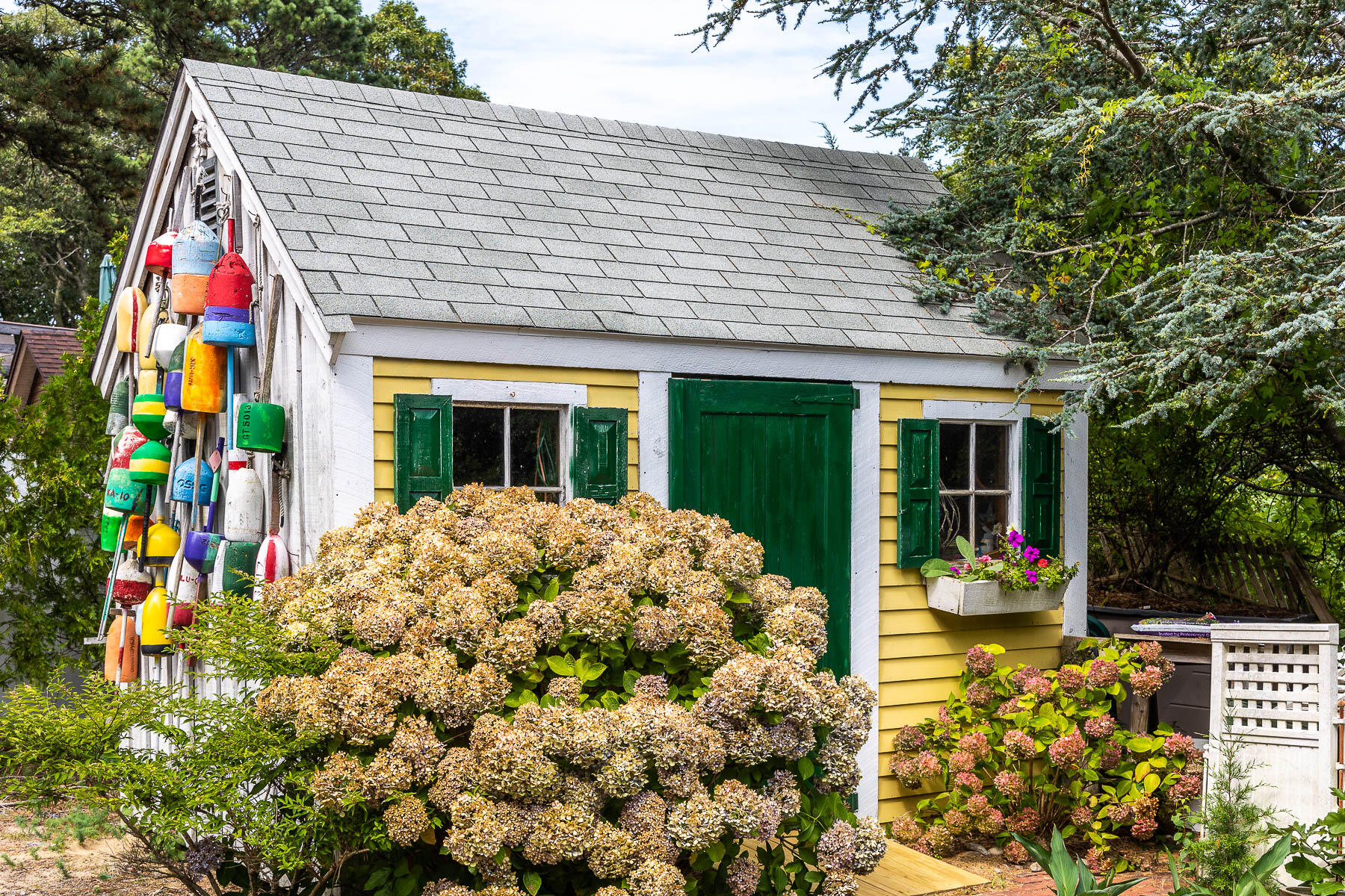 42 Inman Road Dennis Port, MA 02639 - Photo 40 of 51 Storage Shed