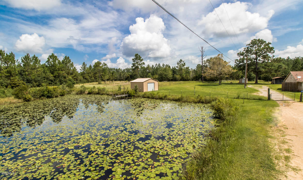 21470 Simoneaux Lane Saucier, MS 39574 - Photo 32 of 40 Outside pond #1 1.1