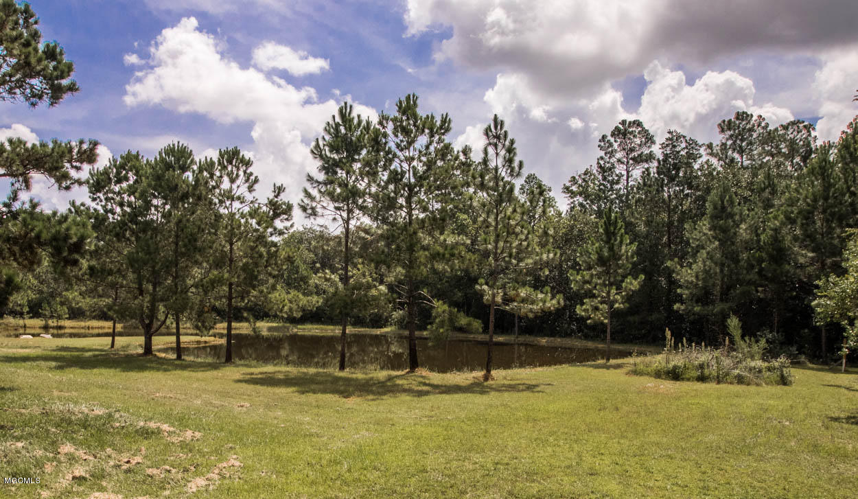 21470 Simoneaux Lane Saucier, MS 39574 - Photo 34 of 40 Outside pond #2 1.2