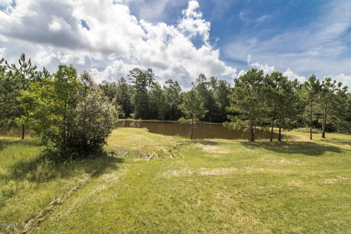 21470 Simoneaux Lane Saucier, MS 39574 - Photo 36 of 40 Outside pond #2 1.4