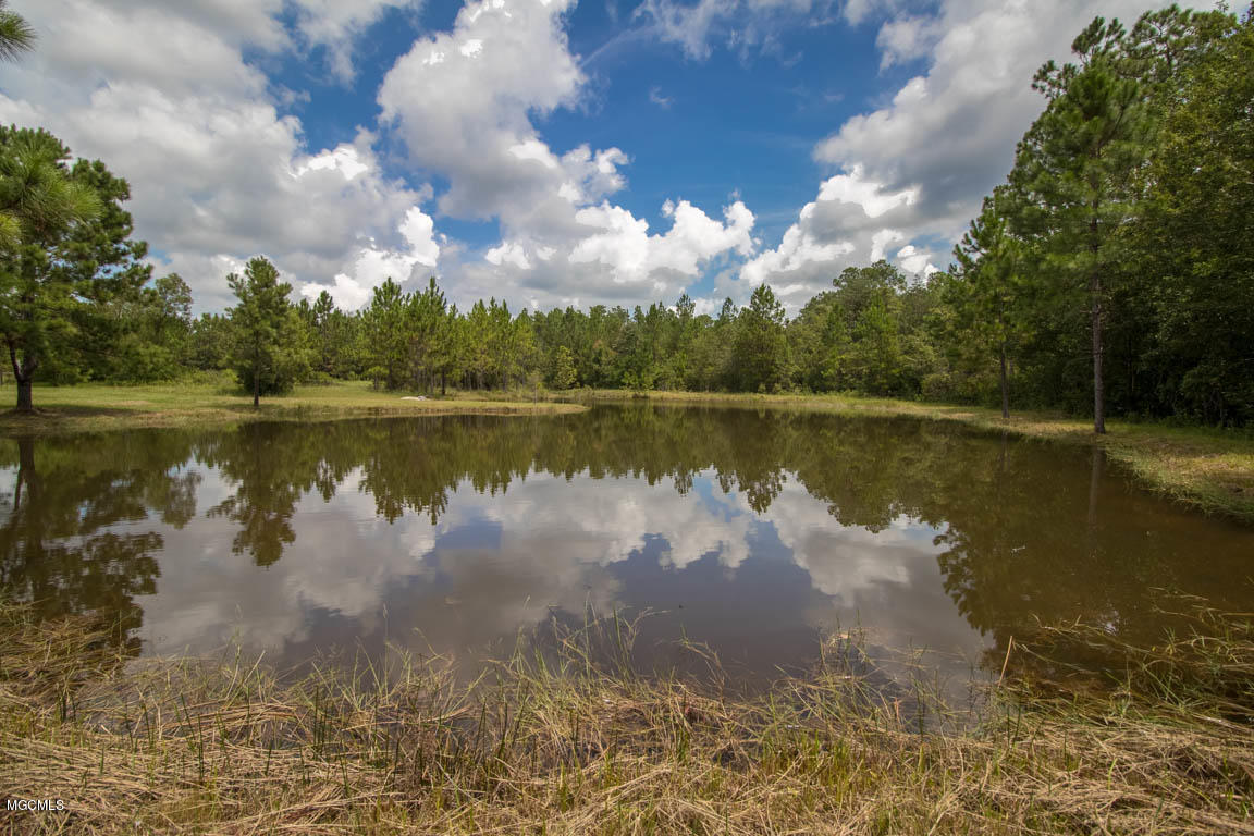 21470 Simoneaux Lane Saucier, MS 39574 - Photo 37 of 40 Outside pond #2 1.5