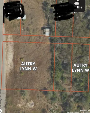 a view of a dry yard with large trees