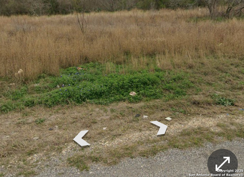 0 Pleasants Hobson, TX 78118 - Photo 4 of 4