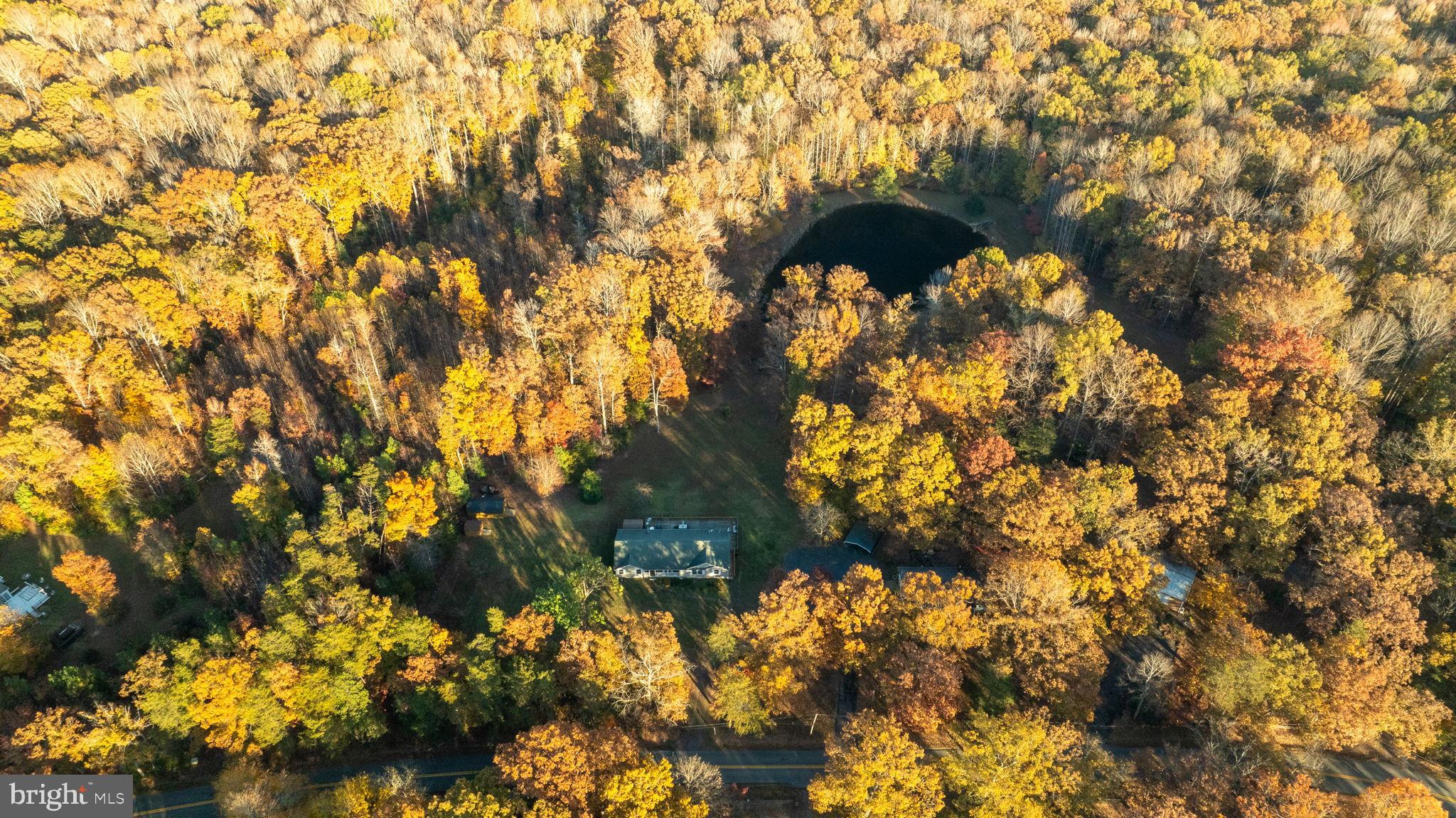 10325 Mill Pond Road Spotsylvania, VA 22551 - Photo 21 of 43 a close up of a tree