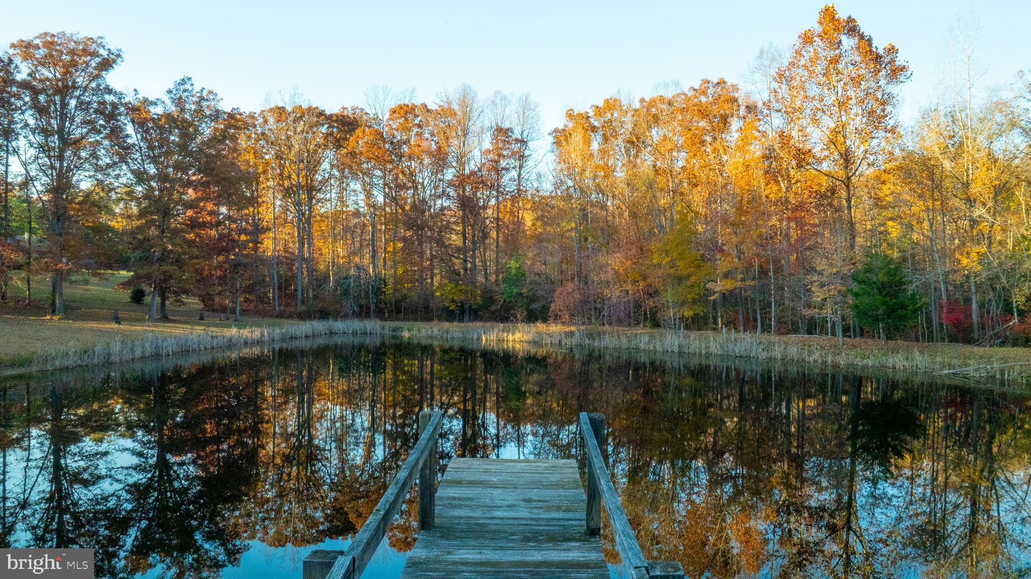 10325 Mill Pond Road Spotsylvania, VA 22551 - Photo 24 of 43 a lake view with a wooden bridge