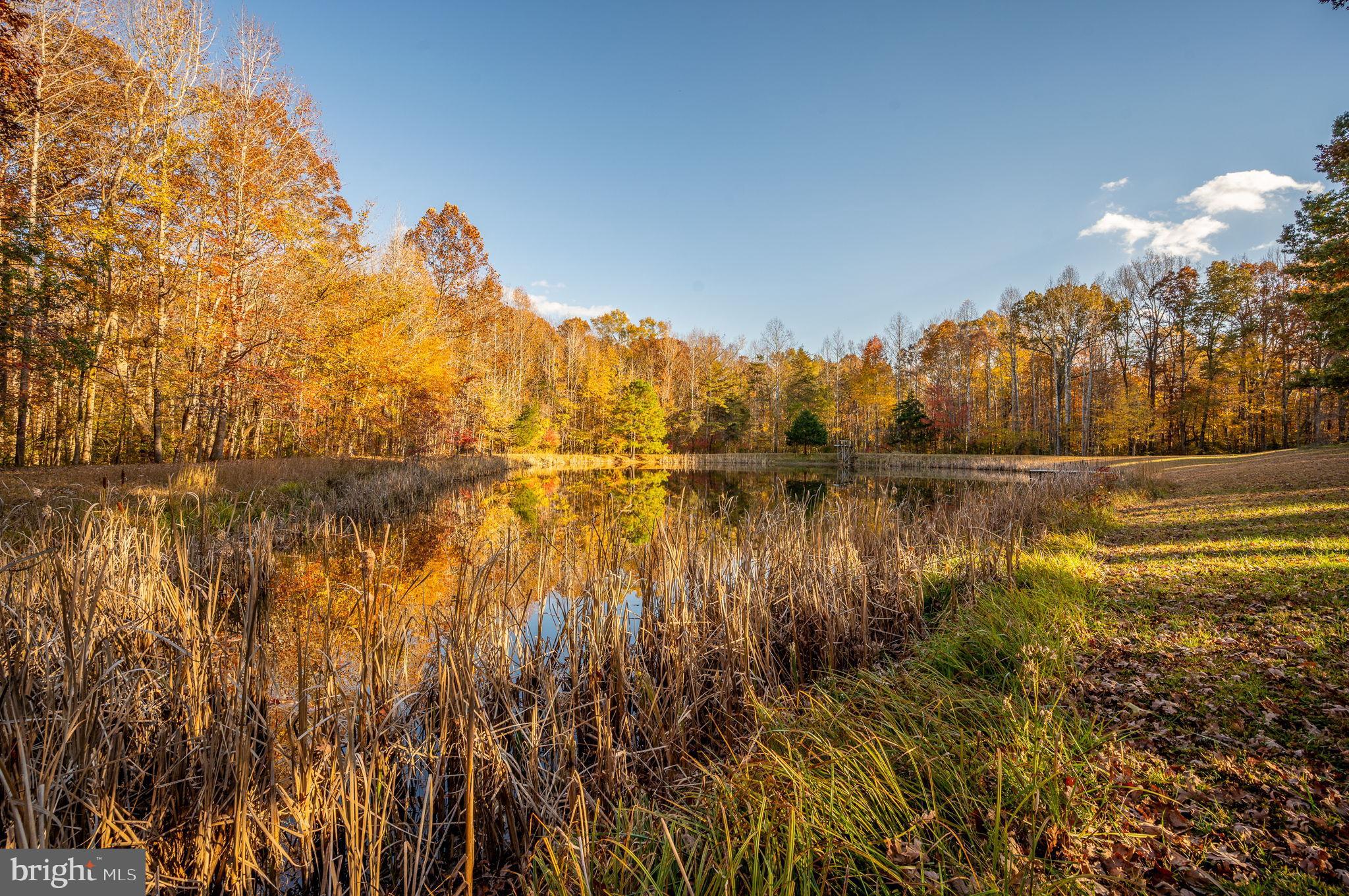 10325 Mill Pond Road Spotsylvania, VA 22551 - Photo 25 of 43 a view of lake