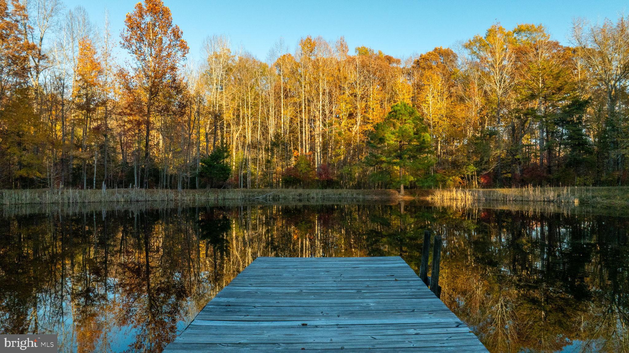 10325 Mill Pond Road Spotsylvania, VA 22551 - Photo 26 of 43 a lake view with a wooden bridge