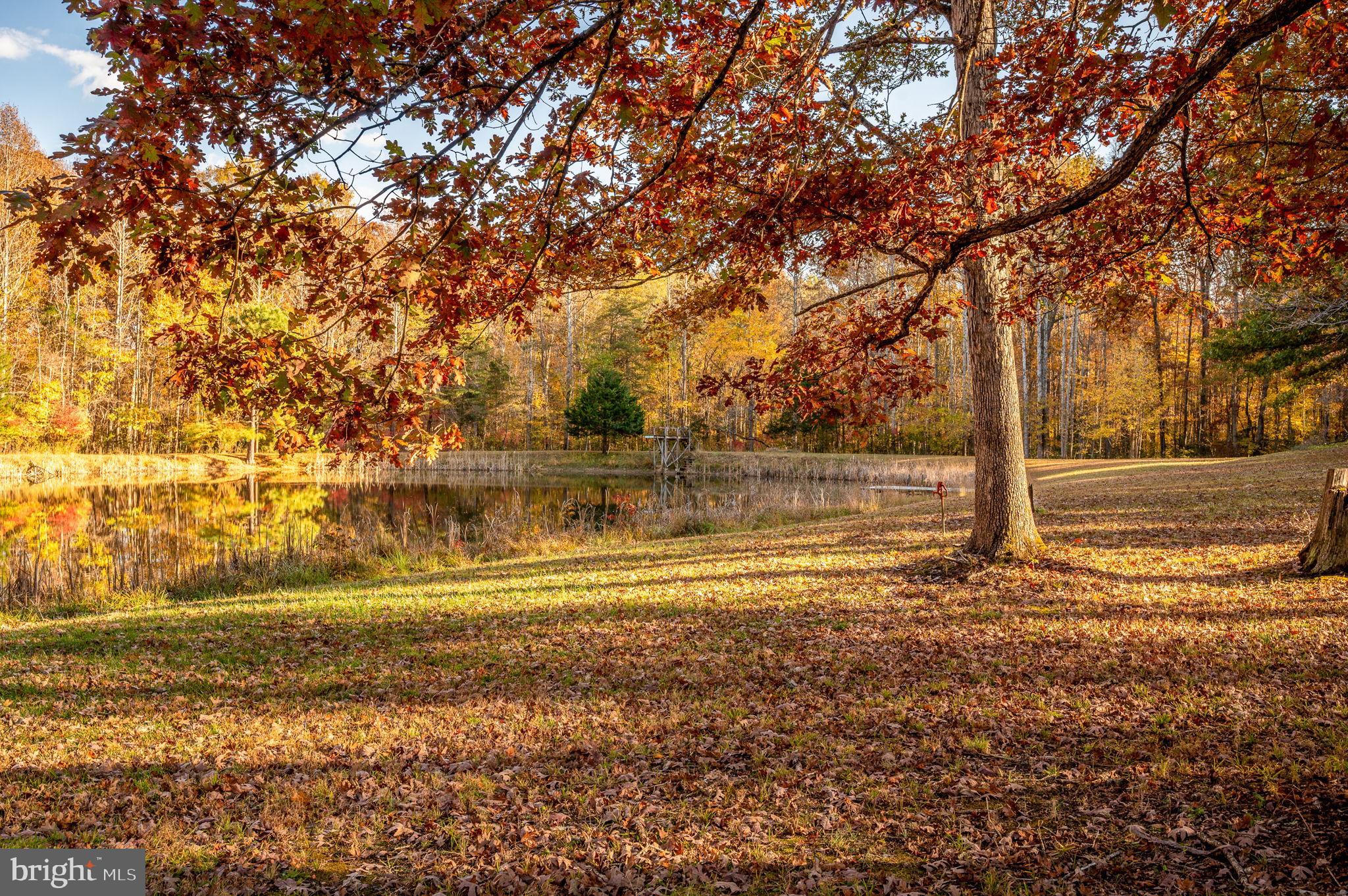 10325 Mill Pond Road Spotsylvania, VA 22551 - Photo 27 of 43