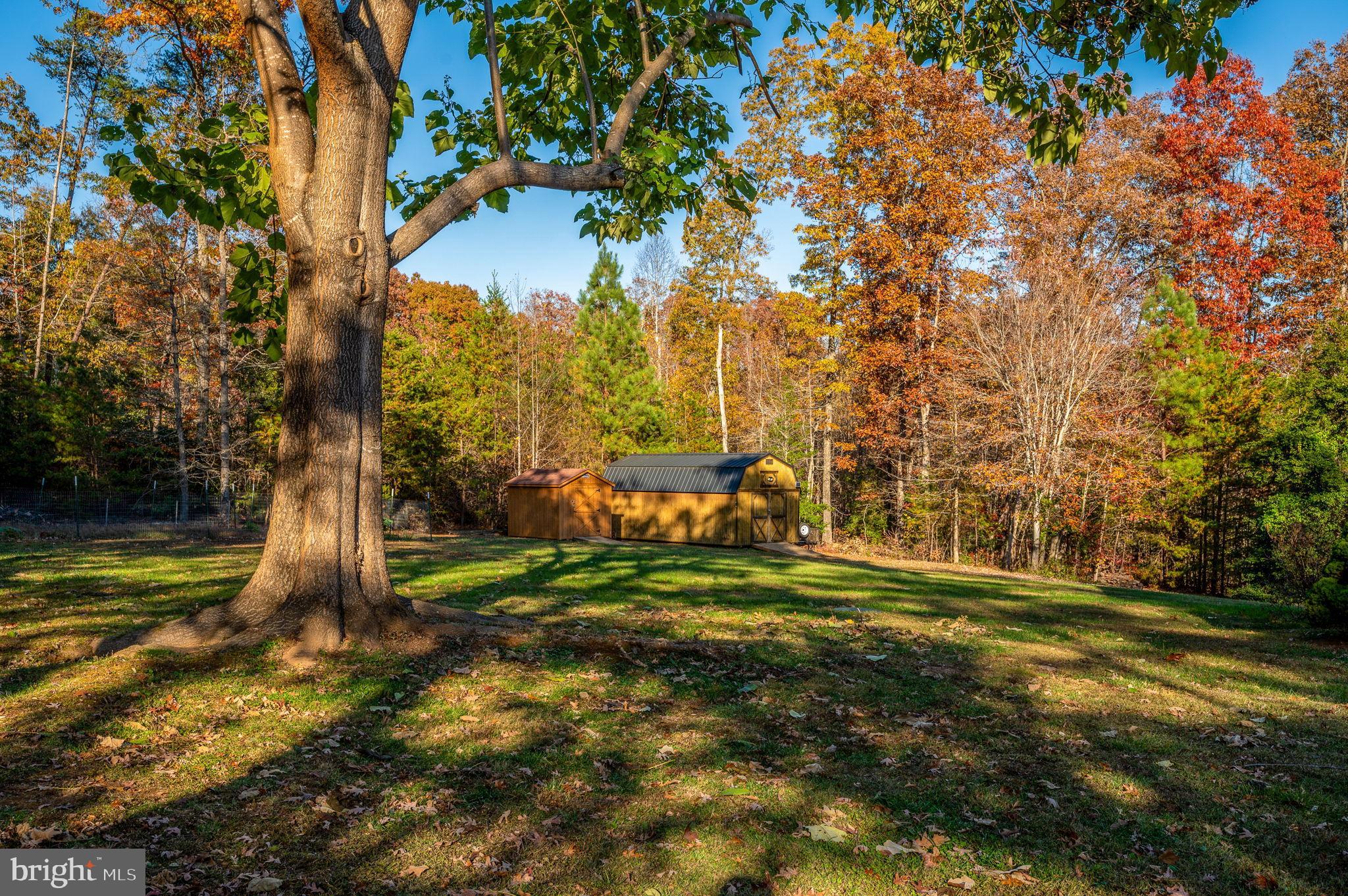10325 Mill Pond Road Spotsylvania, VA 22551 - Photo 28 of 43 a view of a yard in front of the house