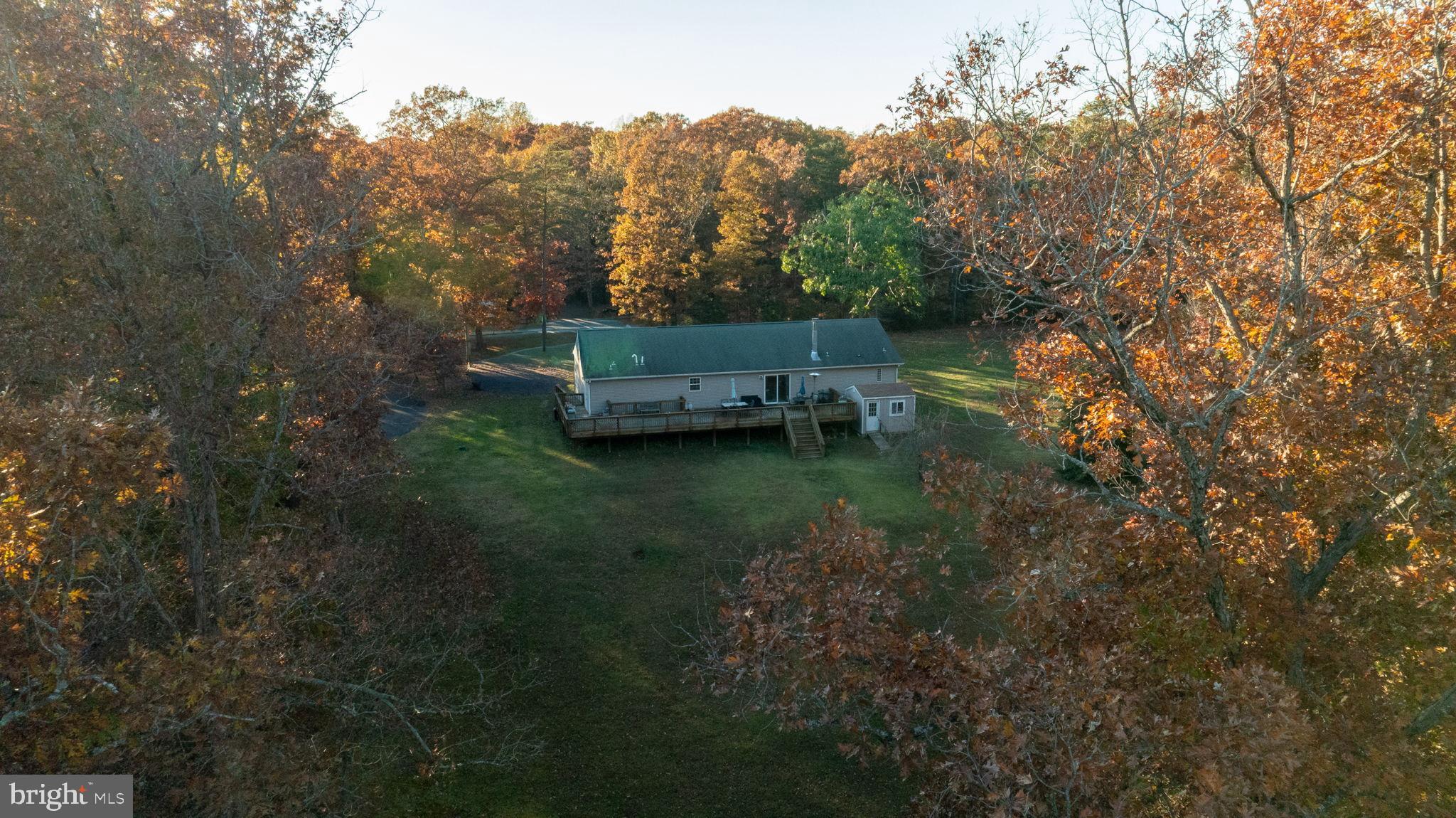 10325 Mill Pond Road Spotsylvania, VA 22551 - Photo 32 of 43 a view of backyard with trees