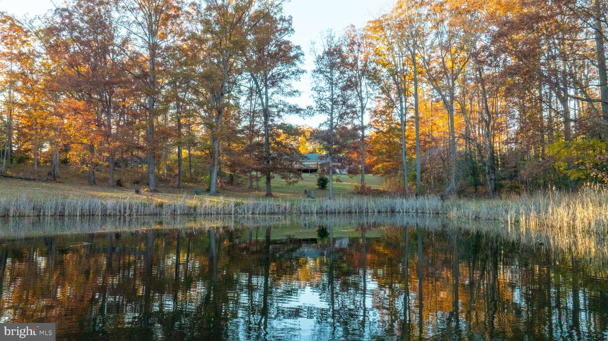 10325 Mill Pond Road Spotsylvania, VA 22551 - Photo 33 of 43 a view of lake with a yard
