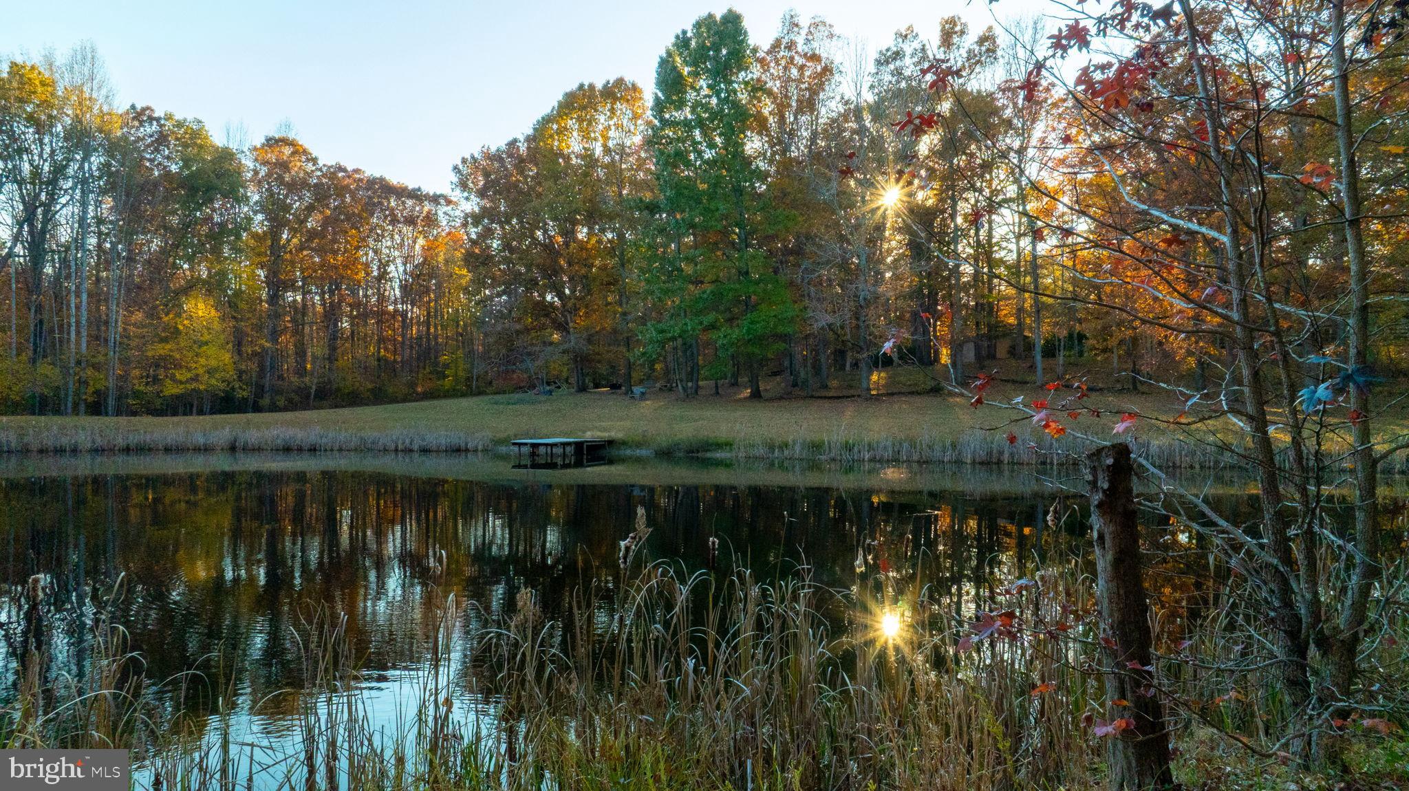 10325 Mill Pond Road Spotsylvania, VA 22551 - Photo 34 of 43 a view of a lake with a yard and large trees