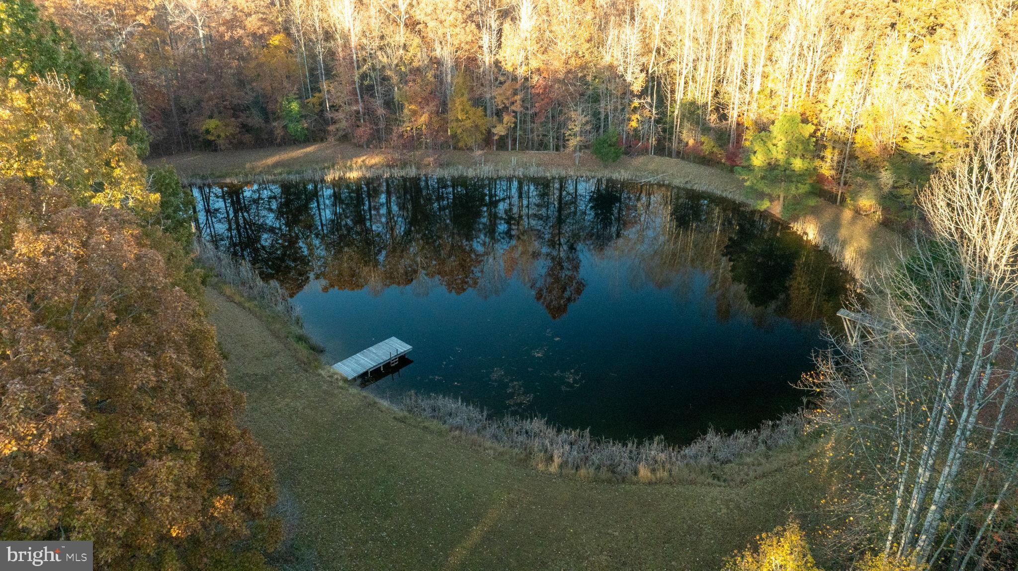 10325 Mill Pond Road Spotsylvania, VA 22551 - Photo 35 of 43 a view of a lake from a yard