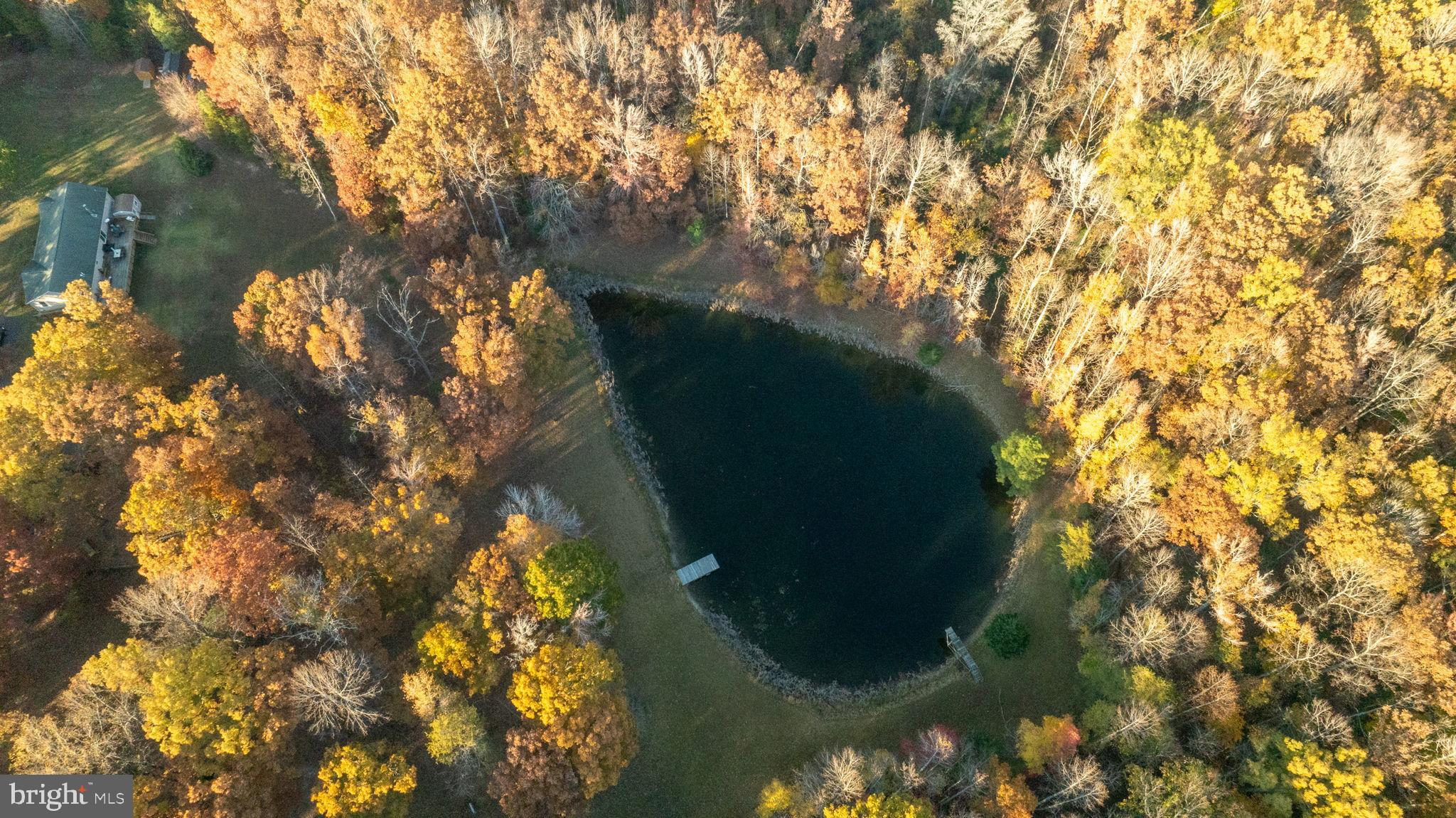 10325 Mill Pond Road Spotsylvania, VA 22551 - Photo 36 of 43 a view of a yard