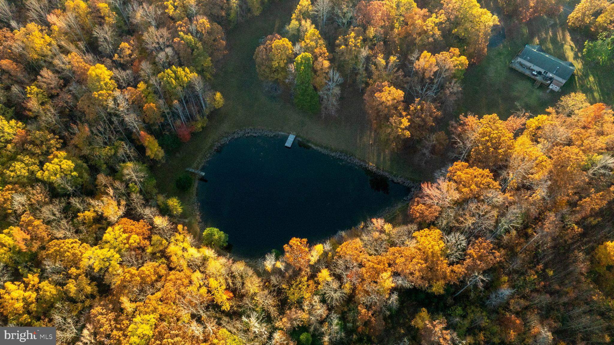 10325 Mill Pond Road Spotsylvania, VA 22551 - Photo 37 of 43 a close up of a tree