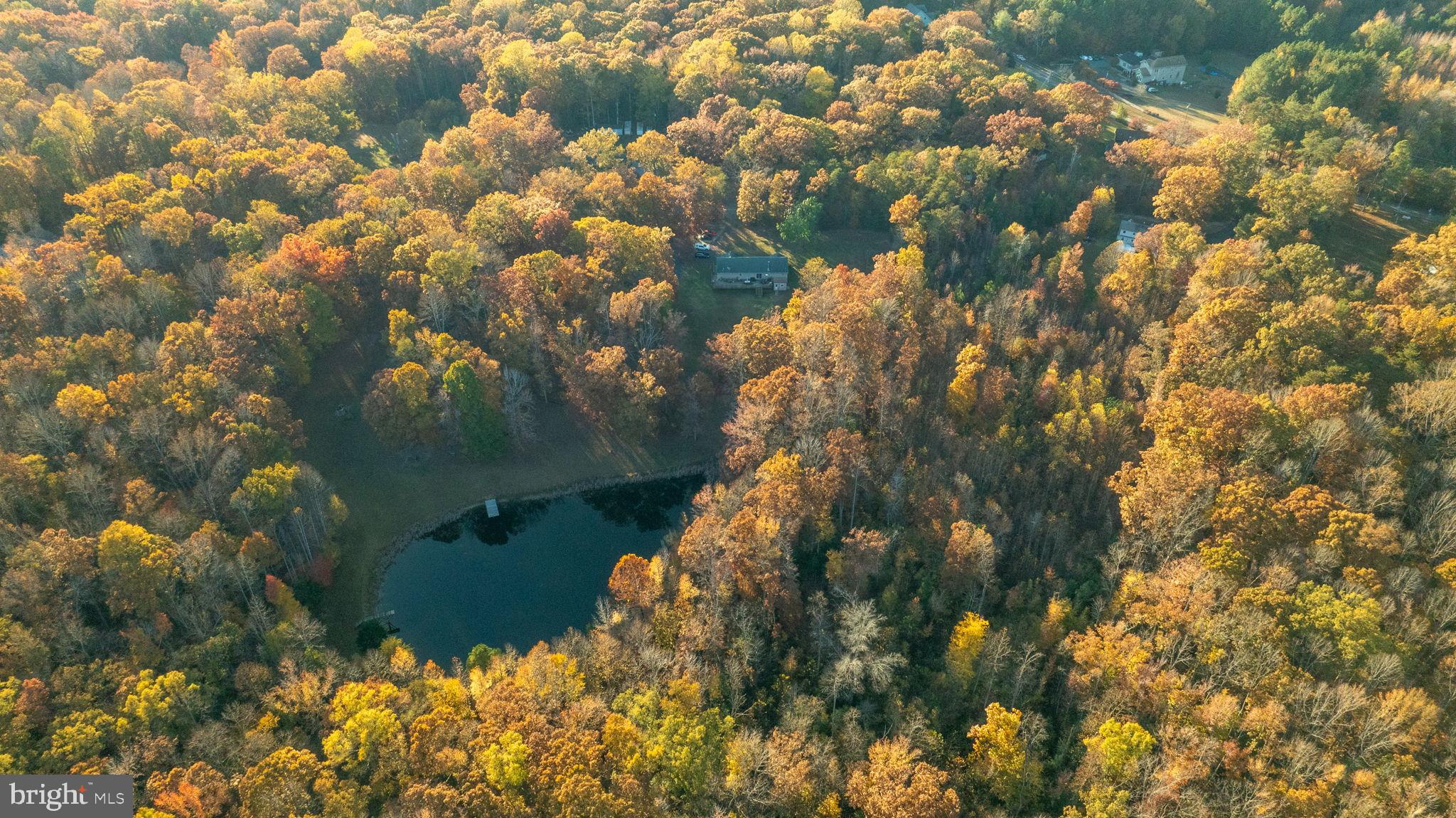 10325 Mill Pond Road Spotsylvania, VA 22551 - Photo 39 of 43 a view of a tree