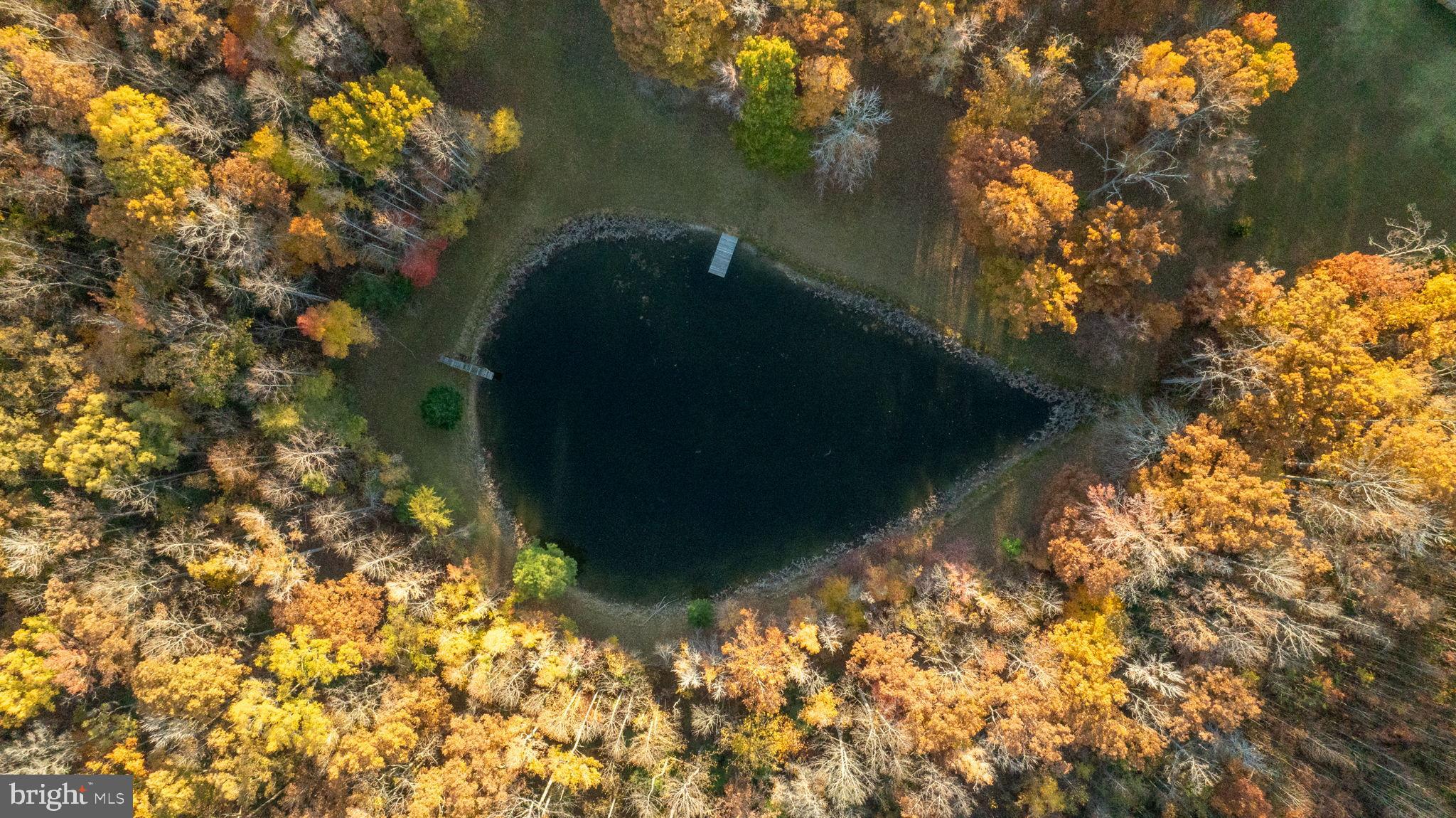 10325 Mill Pond Road Spotsylvania, VA 22551 - Photo 4 of 43 a backyard of a house