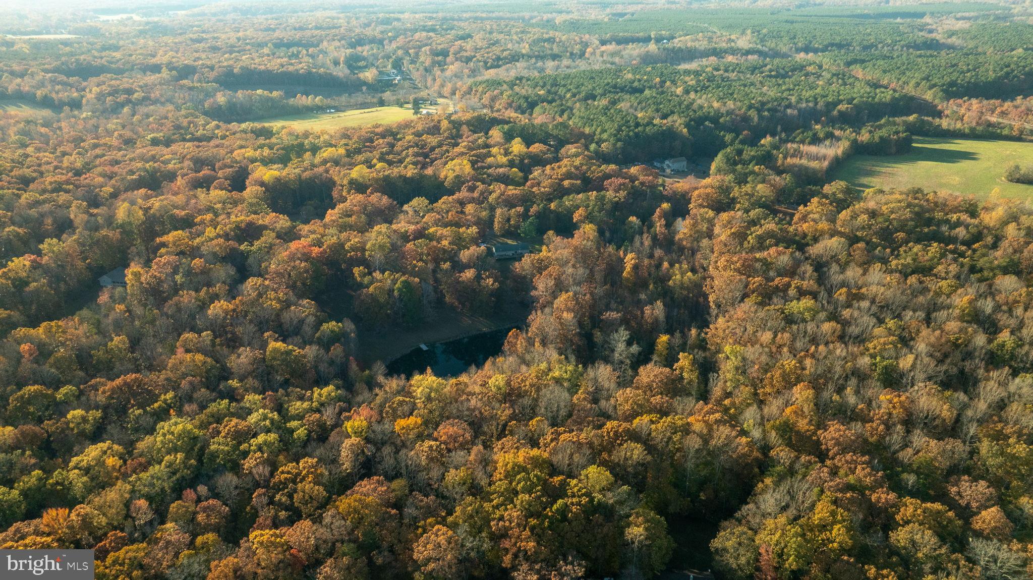 10325 Mill Pond Road Spotsylvania, VA 22551 - Photo 40 of 43 a view of lake