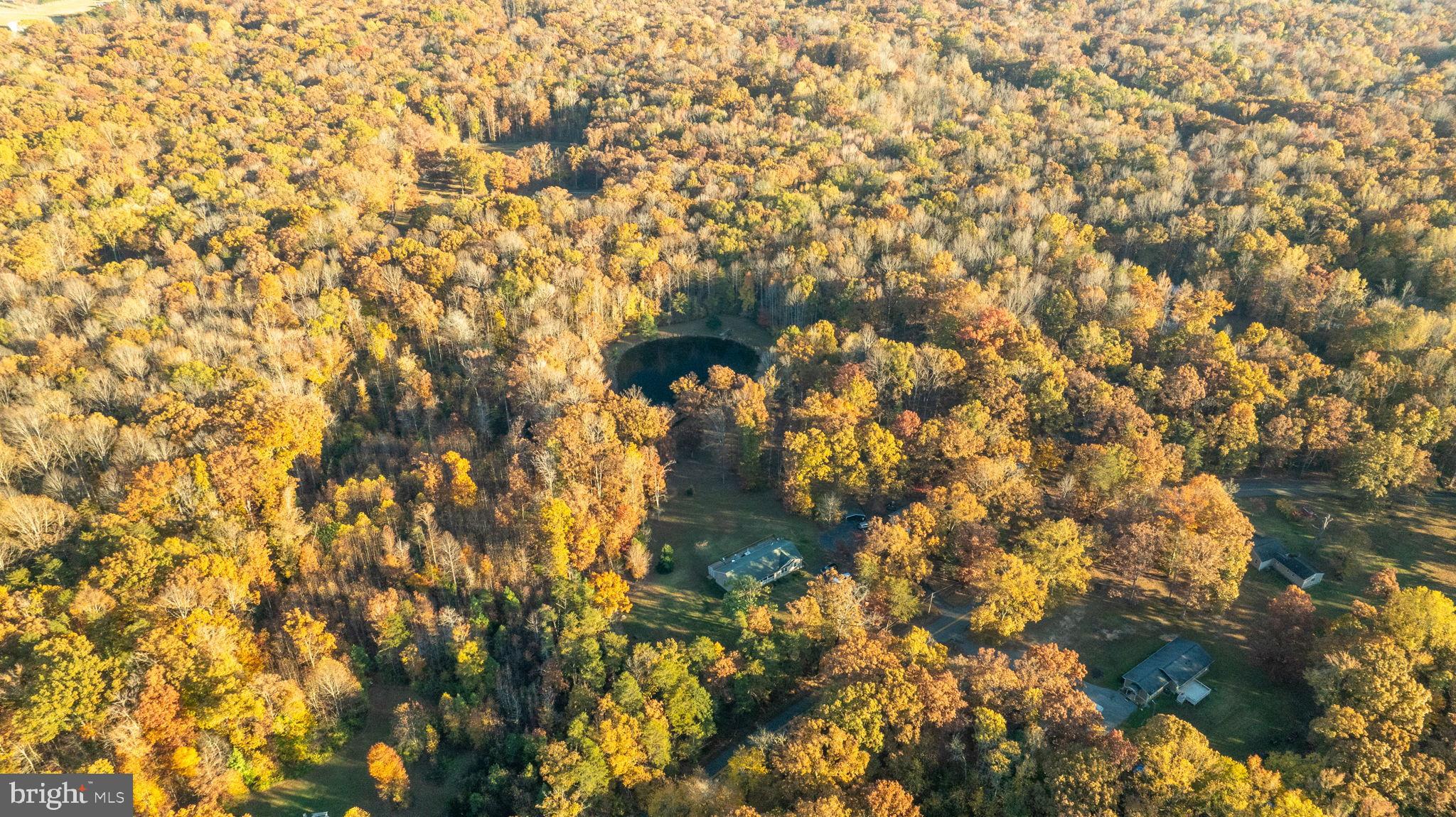 10325 Mill Pond Road Spotsylvania, VA 22551 - Photo 42 of 43 a picture of a tree