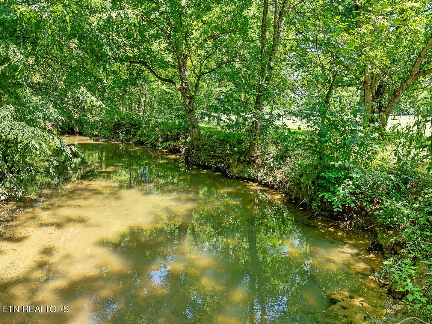 1565 Ellejoy Road Seymour, TN 37865 - Photo 26 of 27 a view of yard from deck