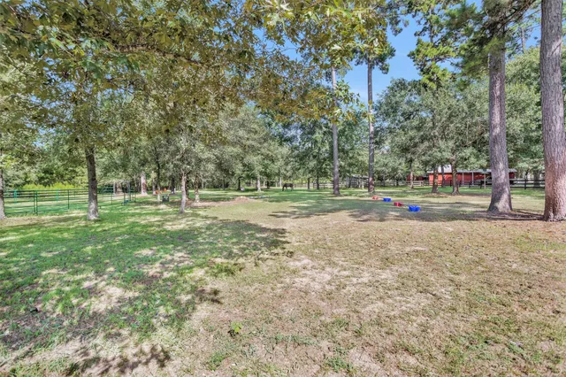 a view of outdoor space with trees all around
