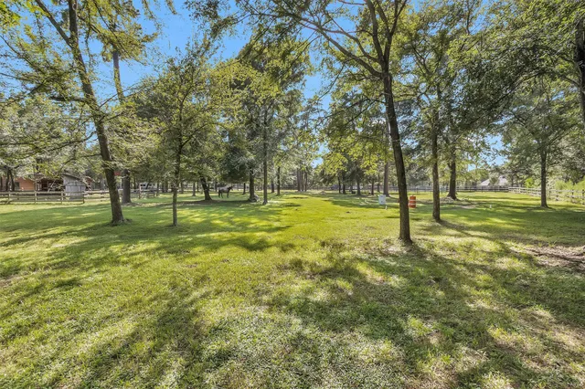 a view of a trees with a backyard