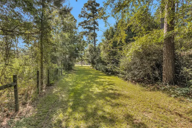 a view of yard with green space