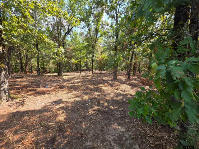 a view of outdoor space with trees