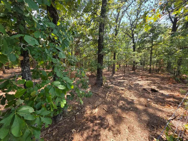 a view of outdoor space and trees
