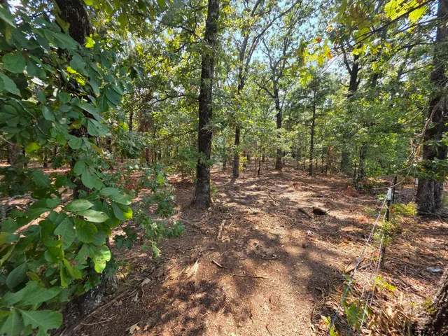 a view of outdoor space and trees