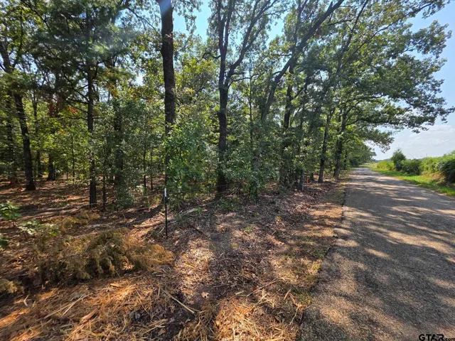 a view of outdoor space with trees