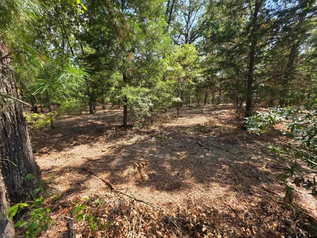 a view of a yard with plants and trees