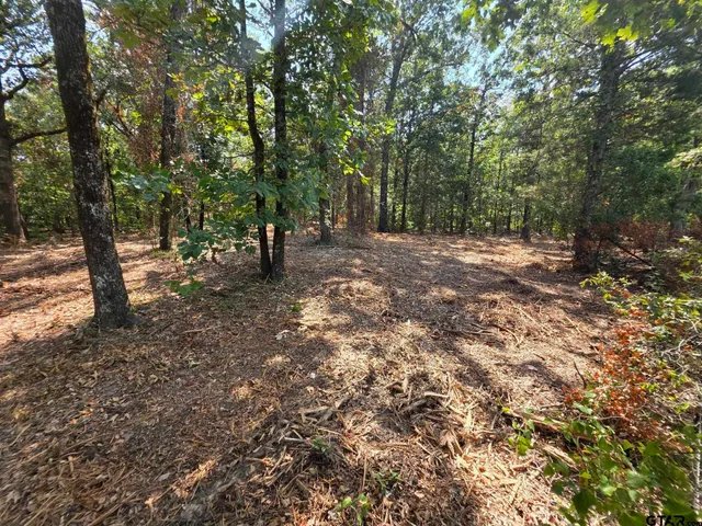 a view of outdoor space with trees