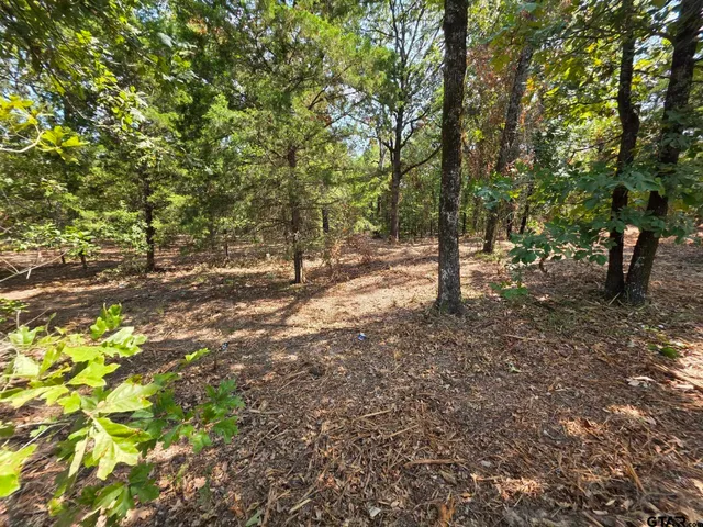 a view of outdoor space with trees