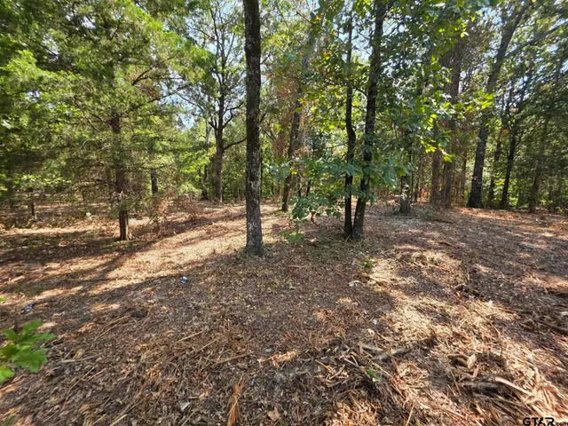 a view of outdoor space with trees